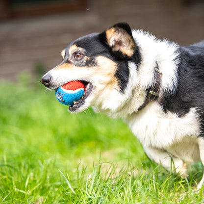 Tennis Balls for Dogs, Squeaky Dog Tennis Balls for Exercise, High Bouncy Dog Balls Bright Colors 2.5 Inches, Interactive Funny Dog Toys for All Breeds of Dogs Indoor & Outdoor Dog Games