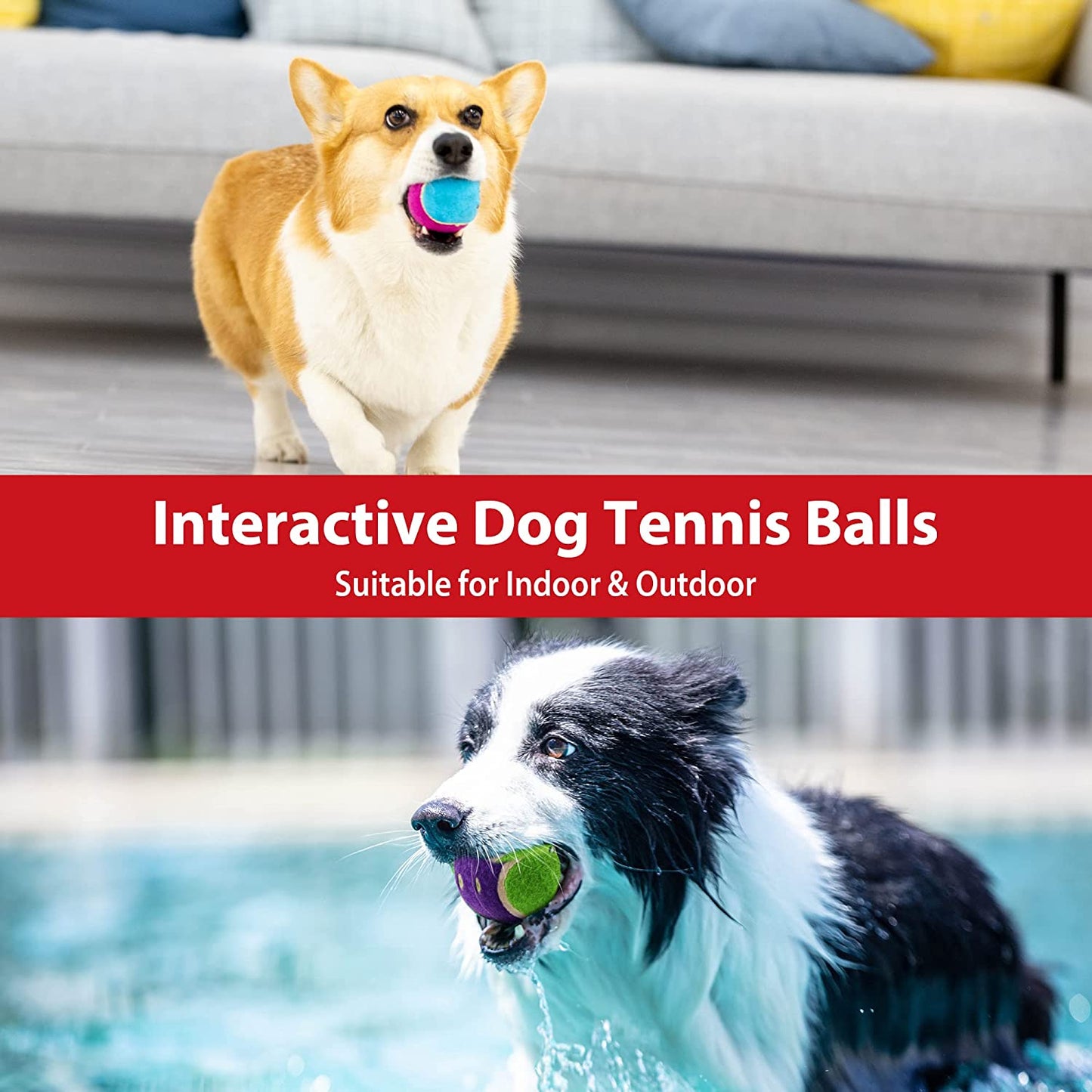 Tennis Balls for Dogs, Squeaky Dog Tennis Balls for Exercise, High Bouncy Dog Balls Bright Colors 2.5 Inches, Interactive Funny Dog Toys for All Breeds of Dogs Indoor & Outdoor Dog Games